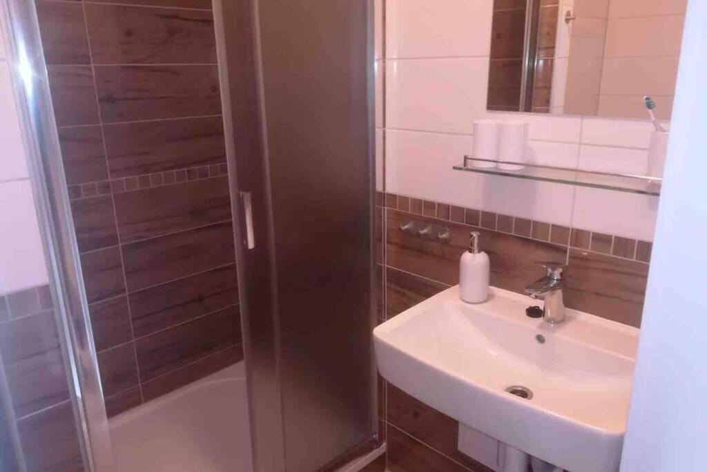 Apartmán Jakub Sklář Zelezna Ruda Exterior foto