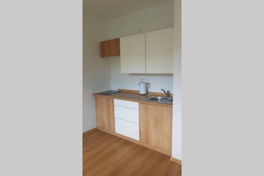 Apartmán Jakub Sklář Zelezna Ruda Exterior foto